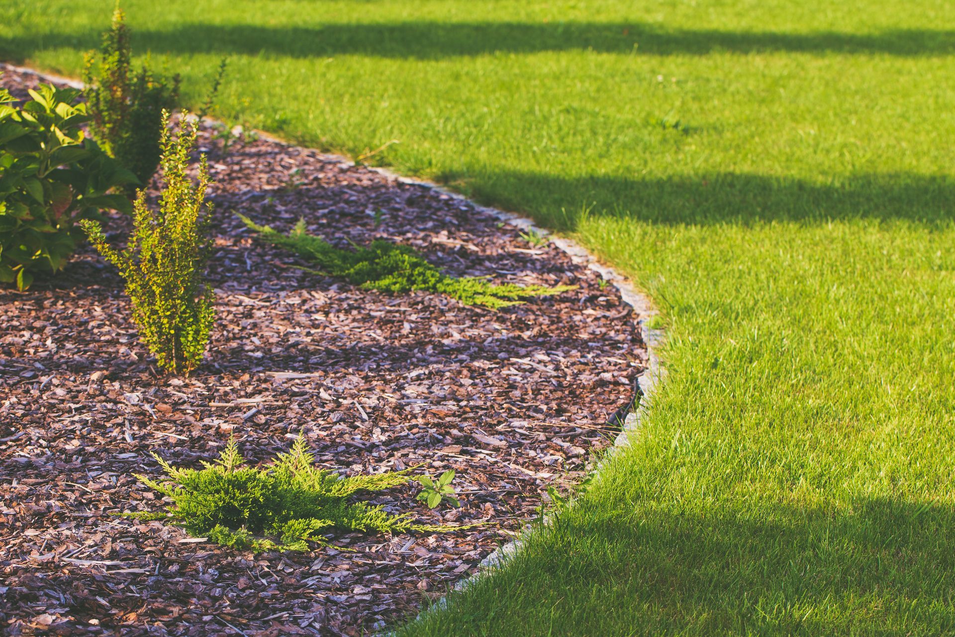 A lush green lawn with a border of mulch and plants.