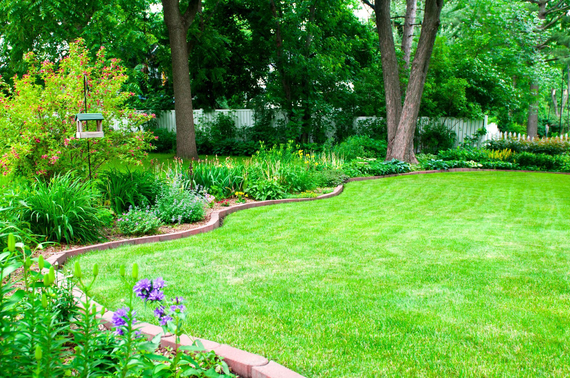 A lush green lawn surrounded by trees and flowers in a garden.