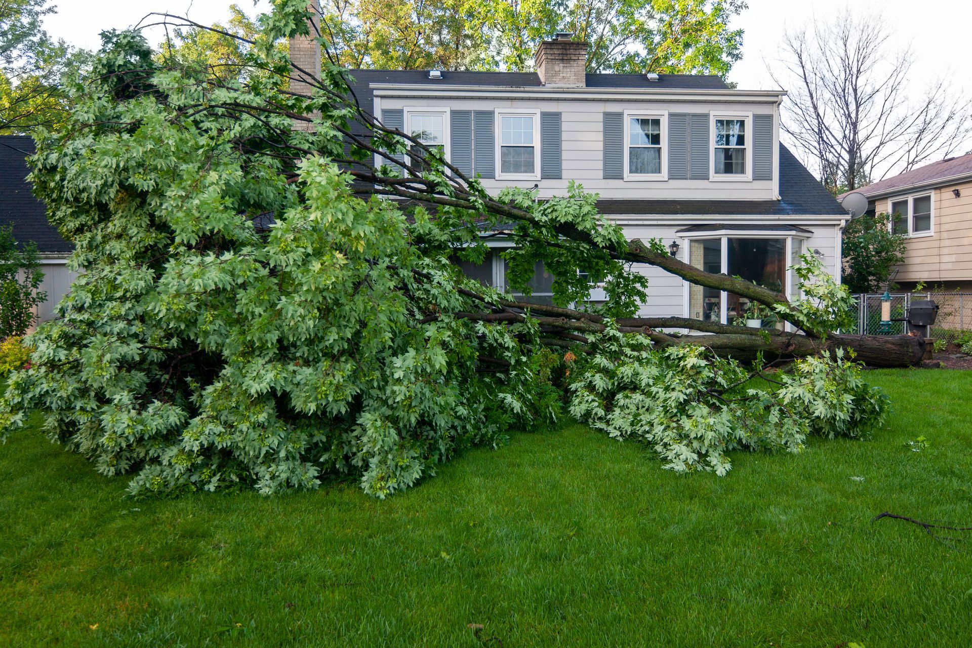 A large tree has fallen on the side of a house.