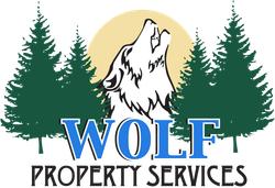 Wolf Landscape and Repair