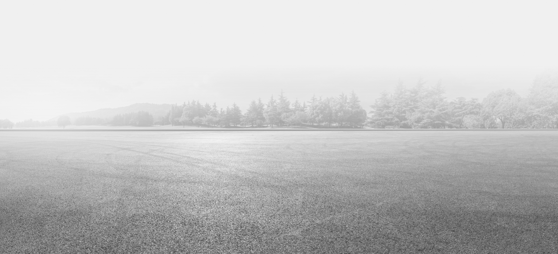 A vast, grassy field stretches toward a line of trees obscured by a thick, bright white fog. | Japanese Auto Pros