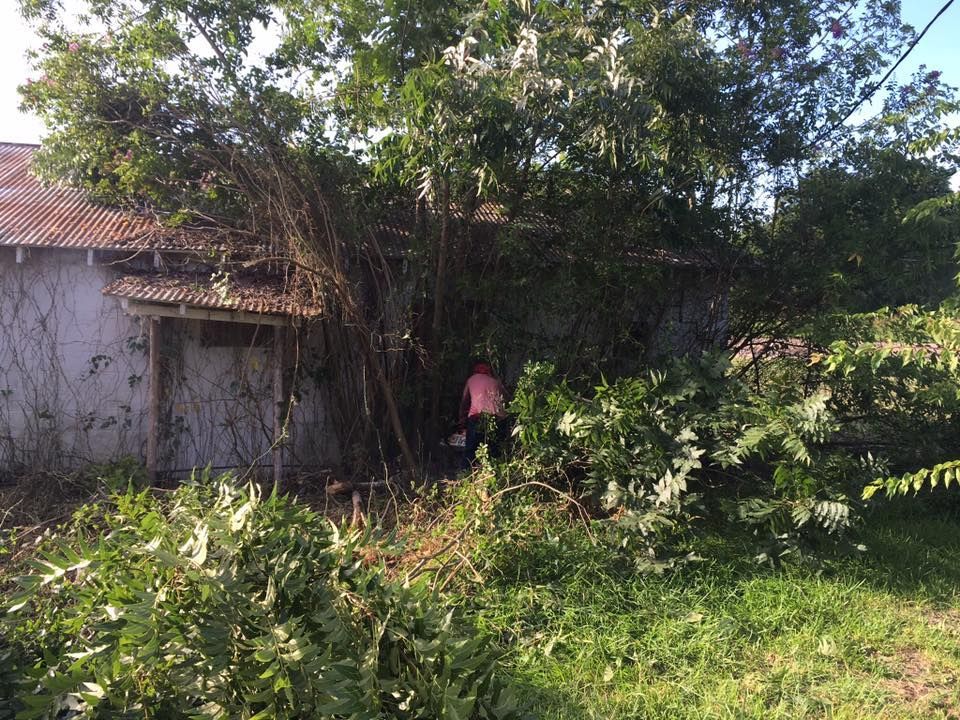 A person is standing in front of a building surrounded by trees.