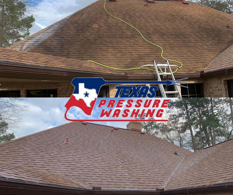 Shingle Roof Cleaning