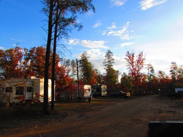 A rv park with trees and a blue sky in the background