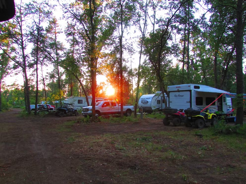 A lot of vehicles are parked in a forest with the sun shining through the trees