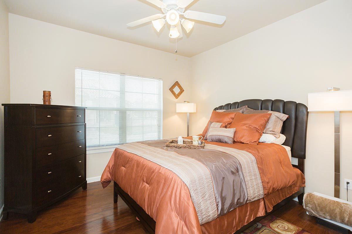 A bedroom with a bed , dresser , lamp and ceiling fan.