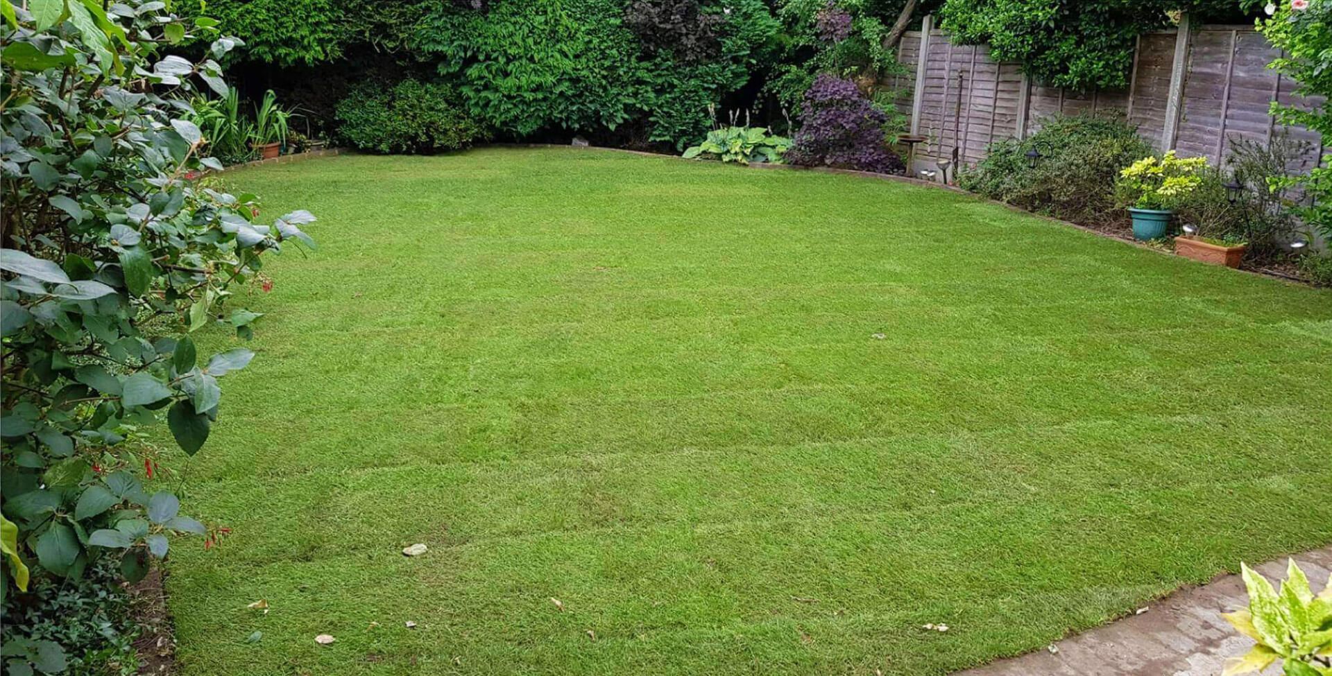 After: Green re-turfed lawn