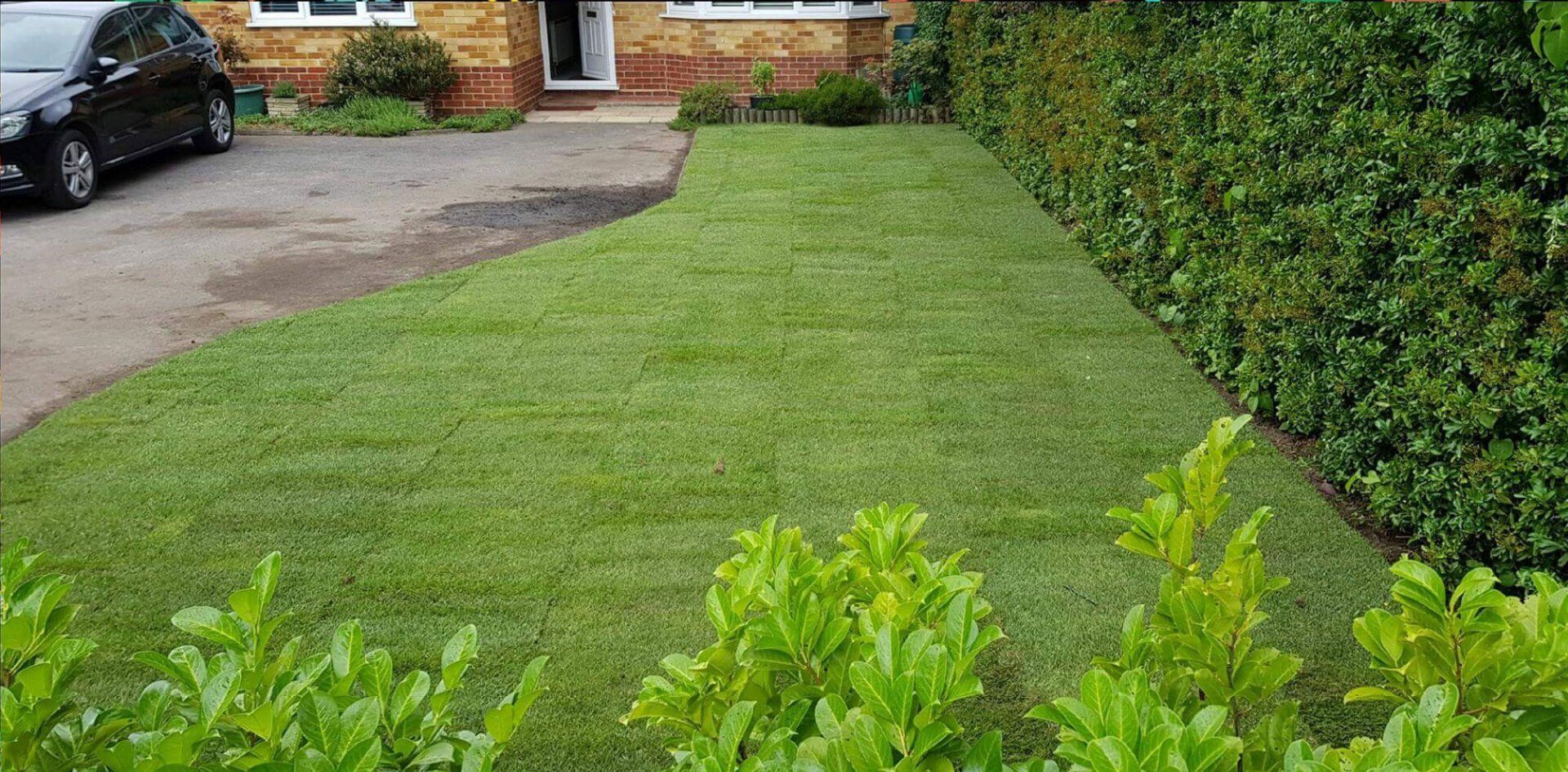 After: Luscious green re-turfed lawn