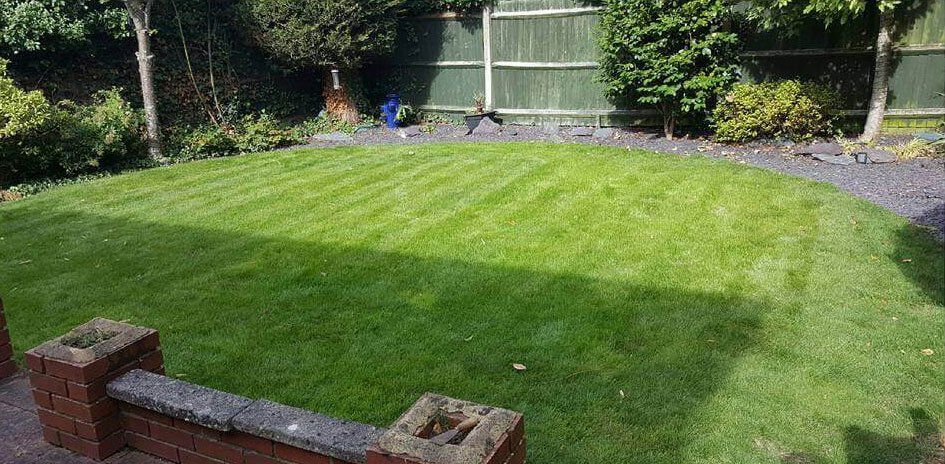 After: Healthy, full lawn