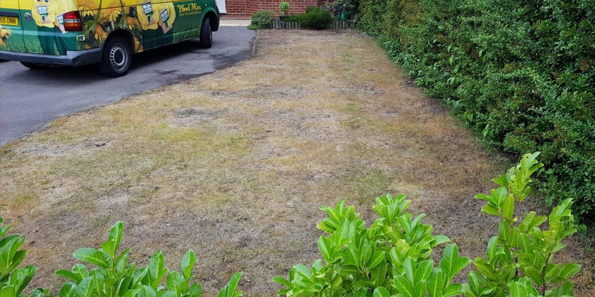 Before: Dry and brown front lawn