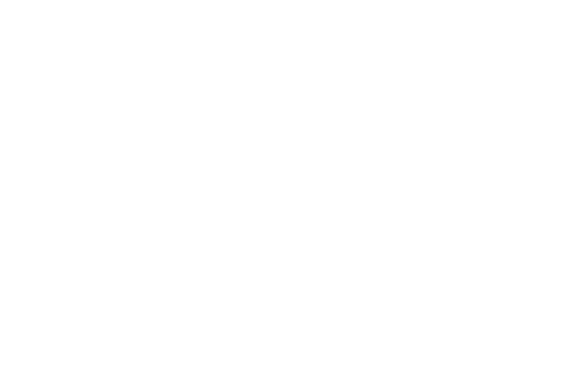 fsb logo white