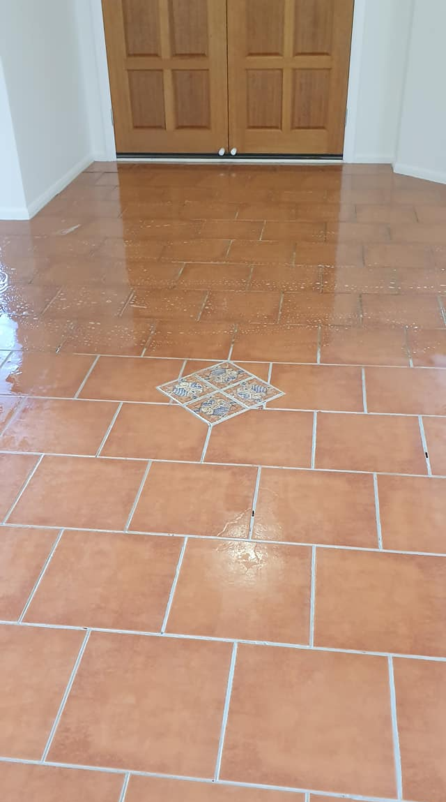 Terracotta coloured Ceramic tile and grout cleaned with acid