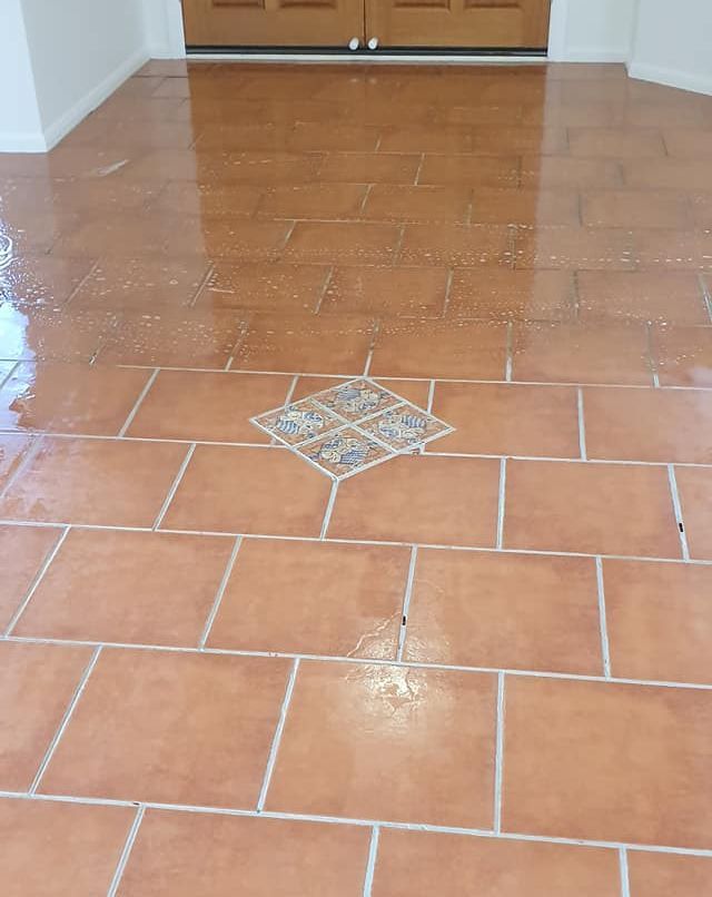 Terracotta coloured Ceramic tile and grout cleaned with acid