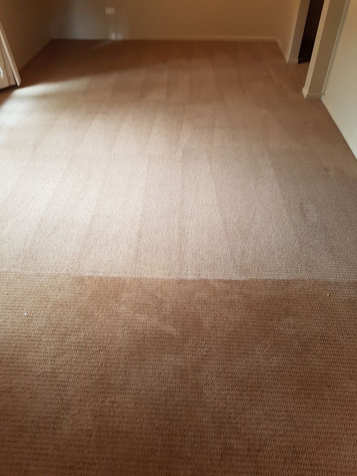 carpet that has been cleaned halfway