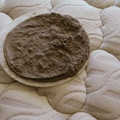 Dust and dead skin from a mattress vacuum.