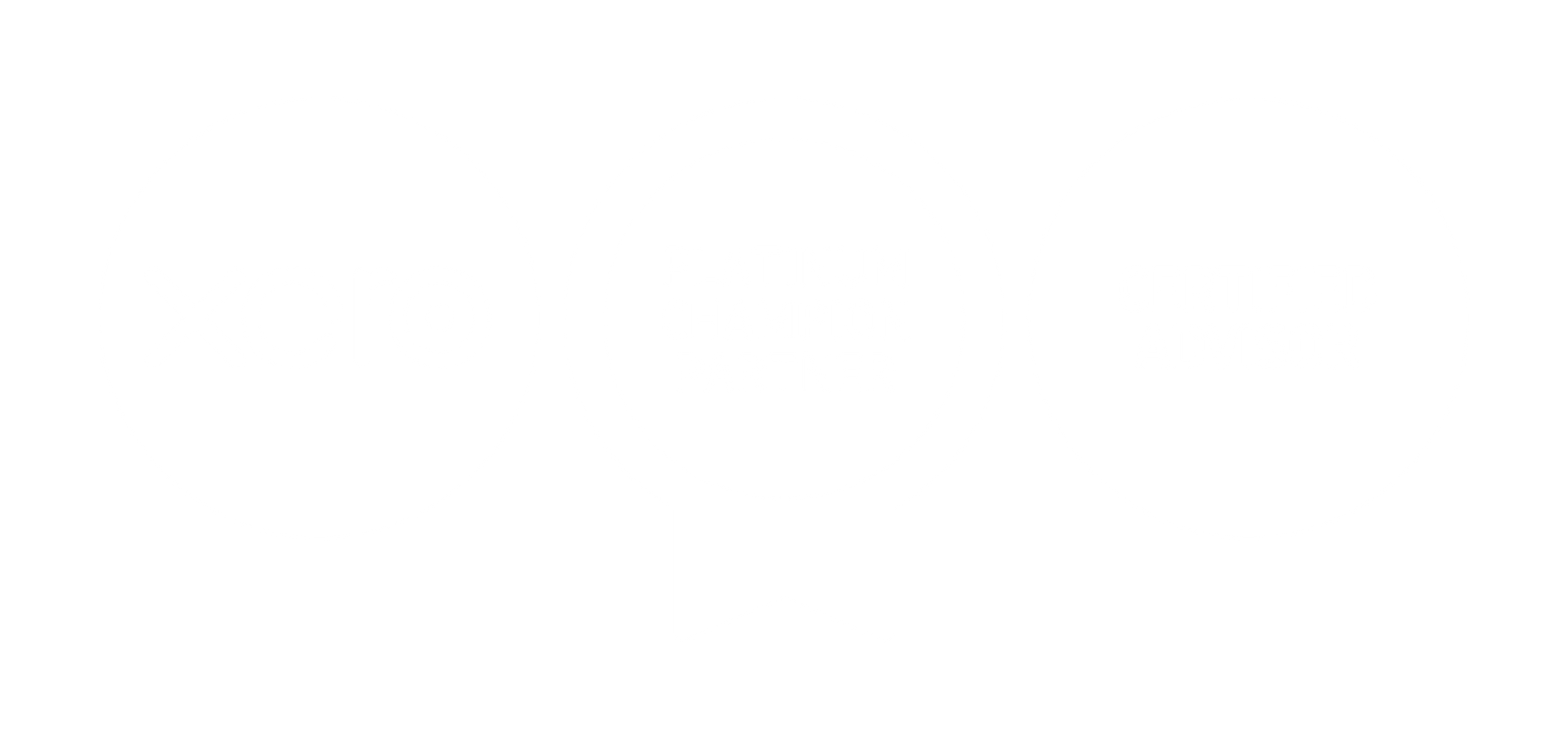 The logo for xero is a platinum champion partner and certified advisor.
