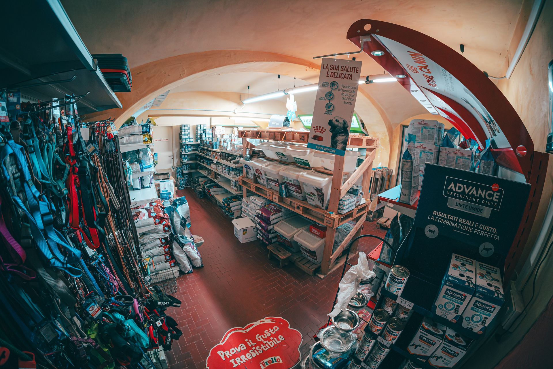 Interno di un negozio di articoli per animali, pavimento piastrellato rosso, scaffali pieni di prodotti, soffitto a volta, guinzagli appesi a sinistra, segnaletica.