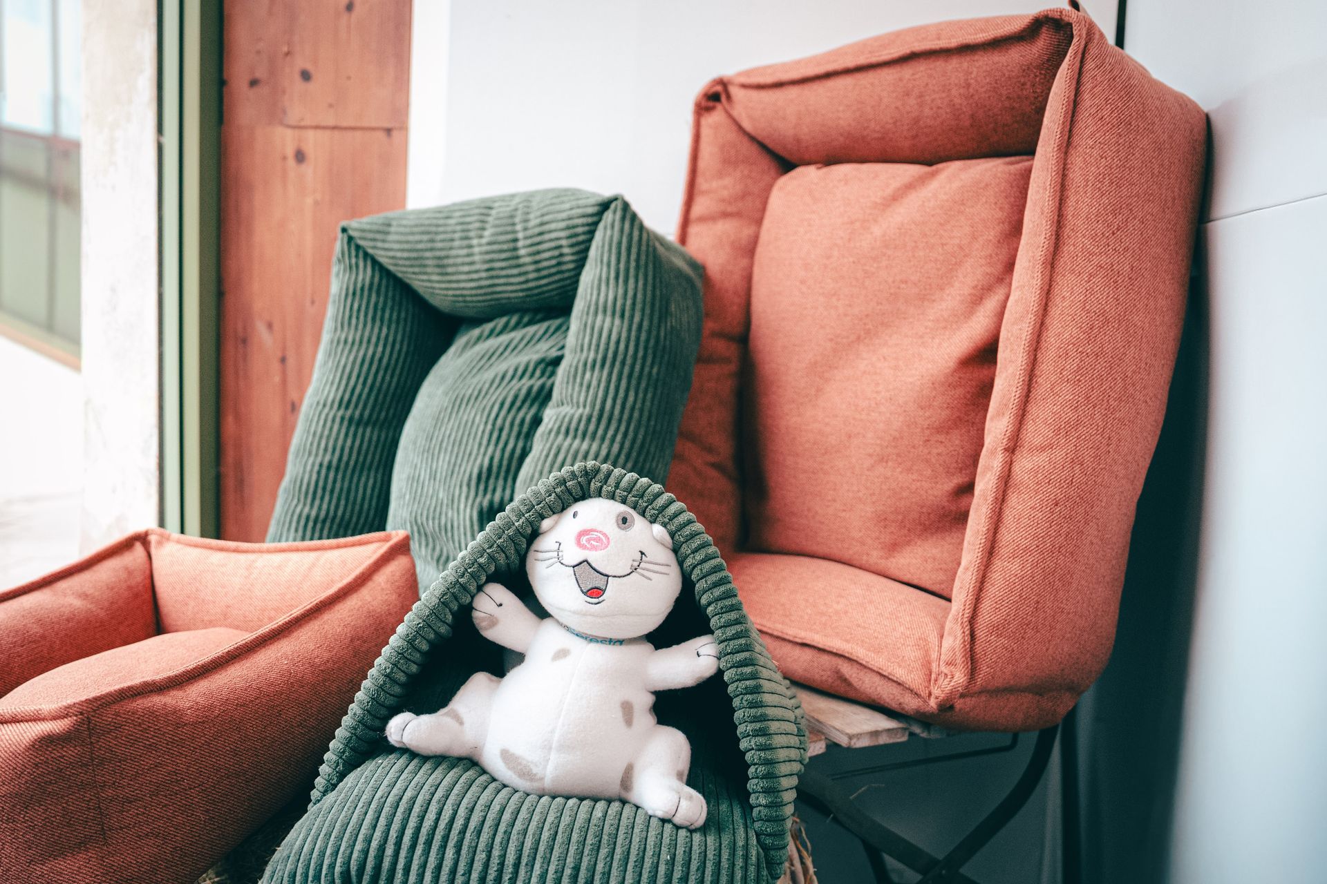 Tre cucce per animali domestici nei colori arancione e verde, con un peluche per gatti in una.