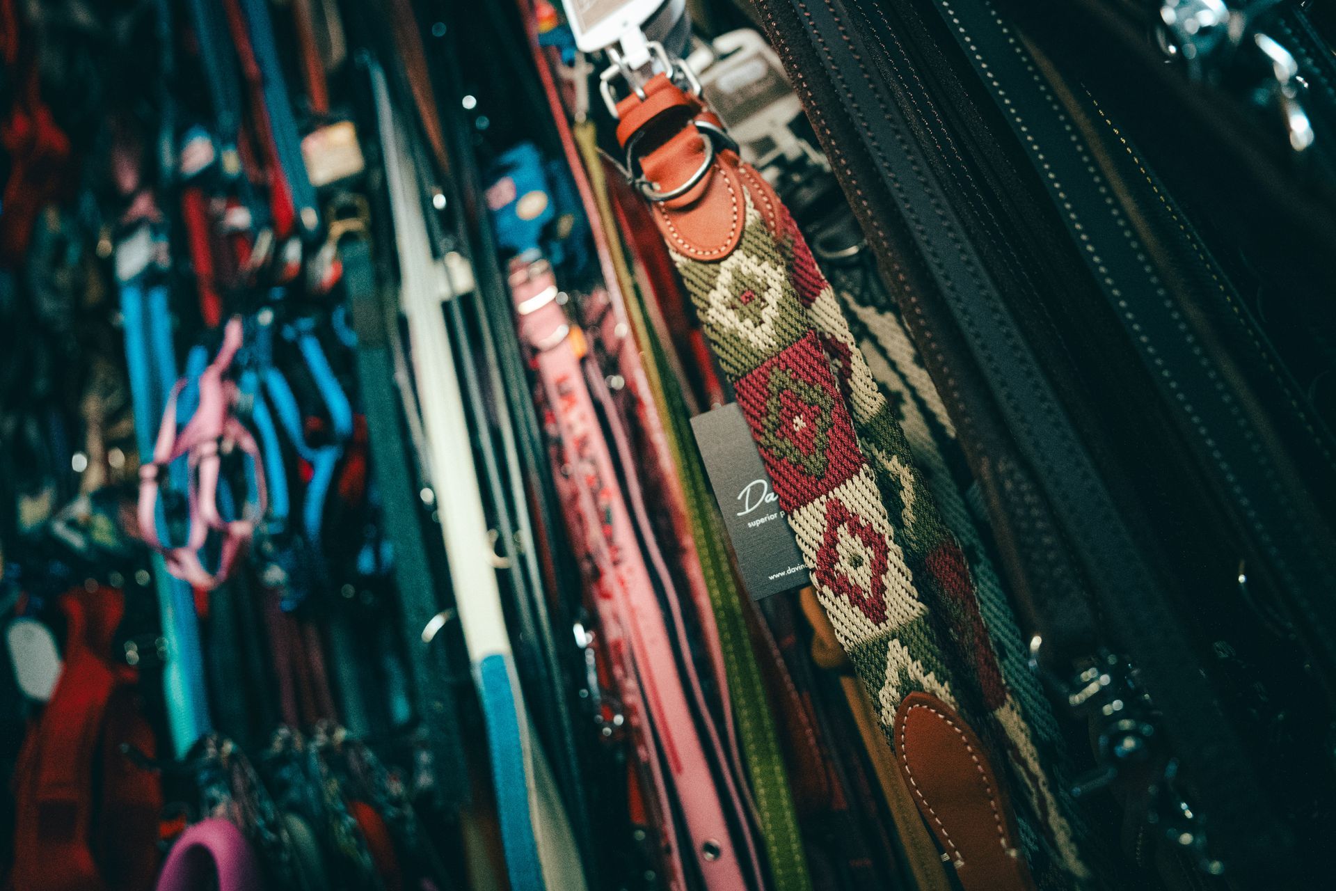 Collari e guinzagli per cani di vari colori sono appesi in un negozio.