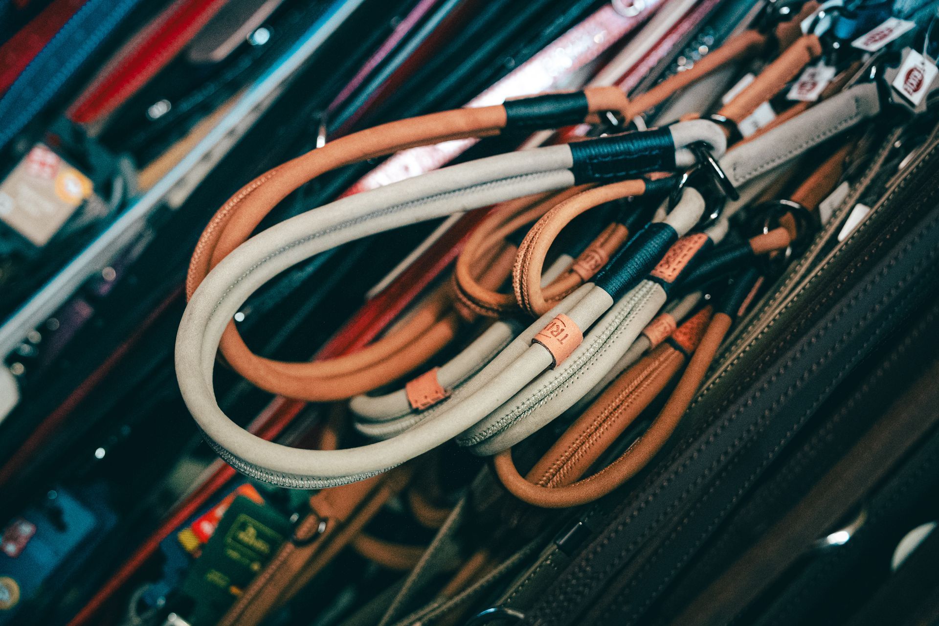 Guinzagli per cani di vari colori, esposti su uno scaffale di un negozio.