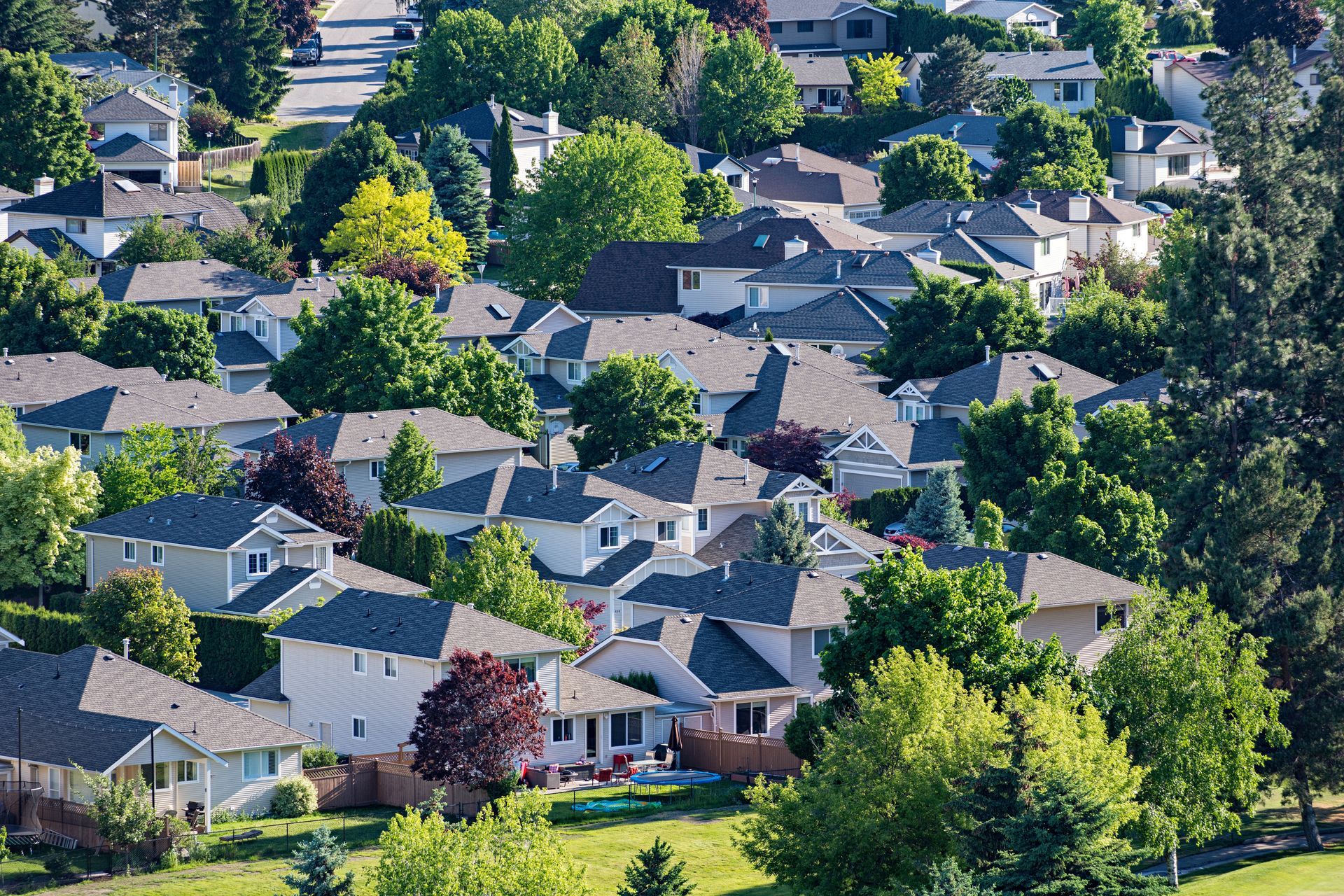 Des maisons aux toits gris nichées au cœur d'une végétation luxuriante. Quartier résidentiel.