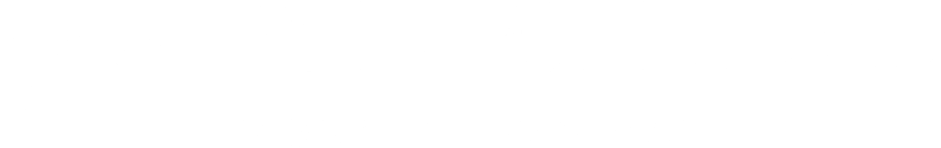 Riverline North Conway logo.