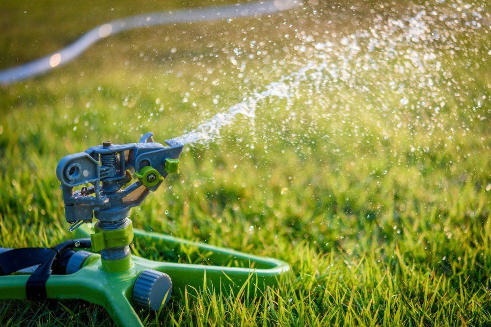 A lawn is getting watered with a water sprinkler — Quality Lawns and Gardens in Raworth, NSW