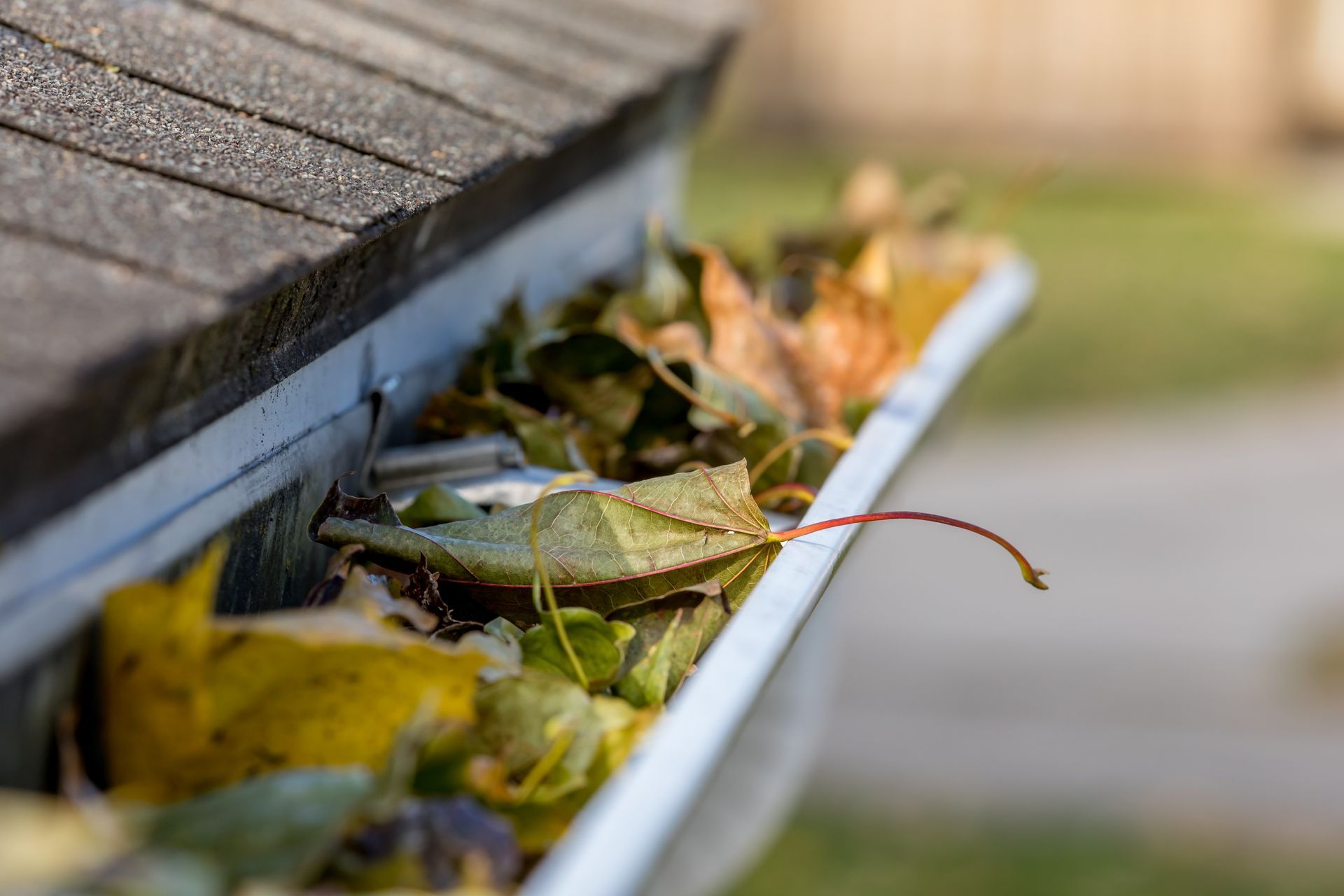 Closeup view of a house rain gutter obstructed by a vibrant collection of leaves falling from trees during autumn.