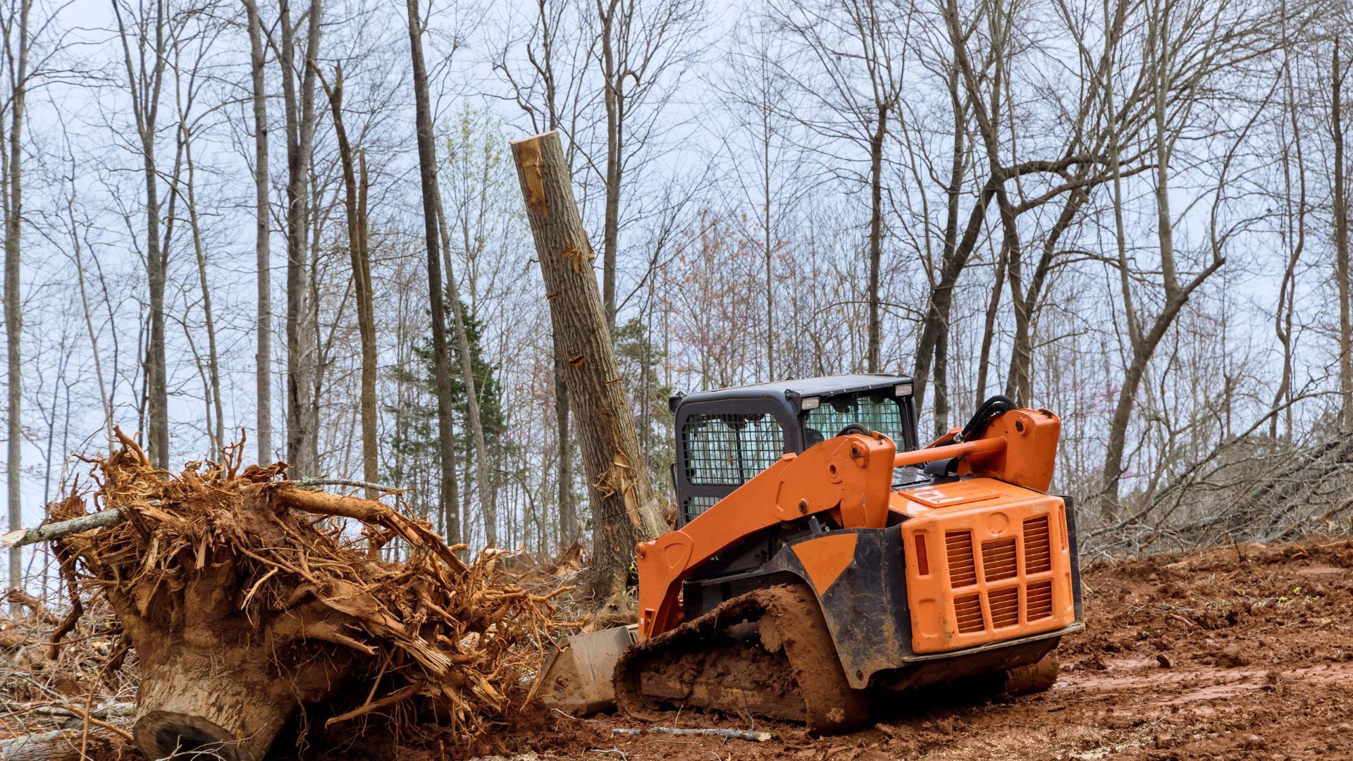 Orange forestry machine lifting a tree stump in a muddy, leafless woods clearing
