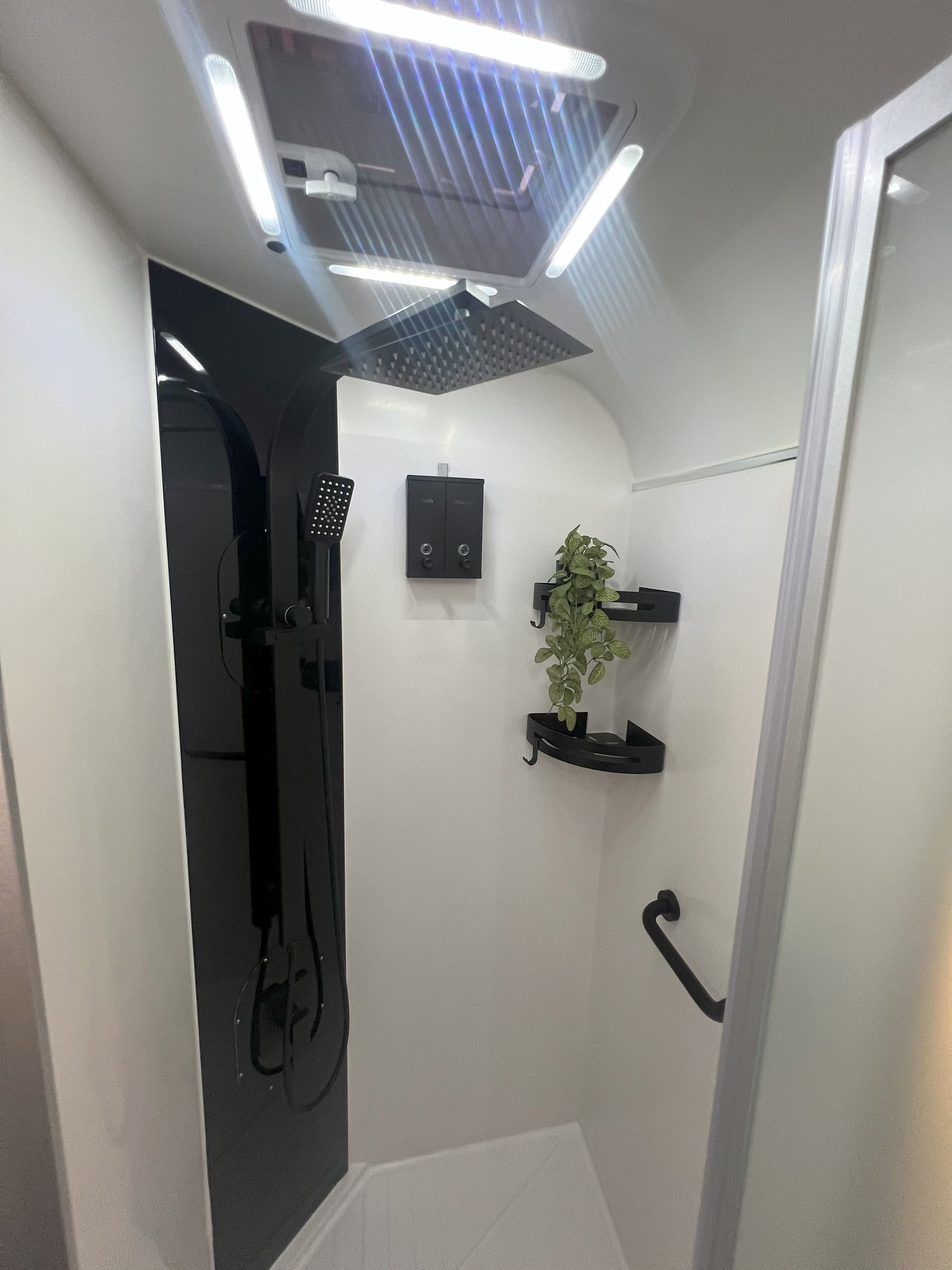 A bathroom with a shower and a plant on a shelf.