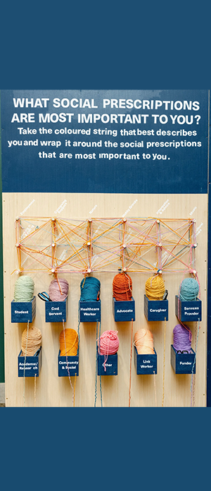 A poster that says what social prescriptions are most important to you