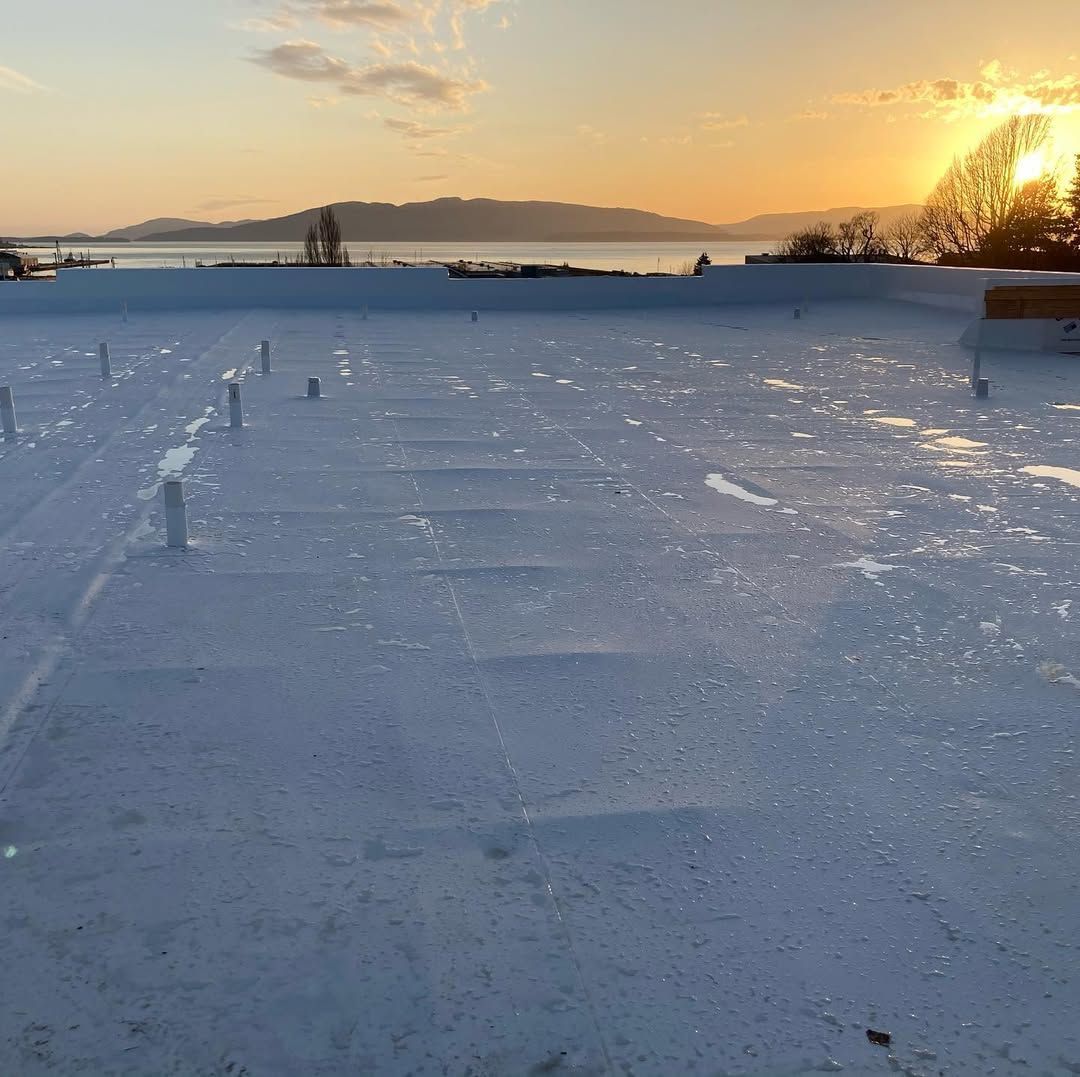A flat roof with a sunset in the background.