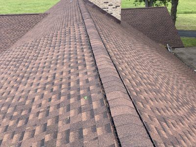 Roof shingles with a visible ridge seam and trees in the background