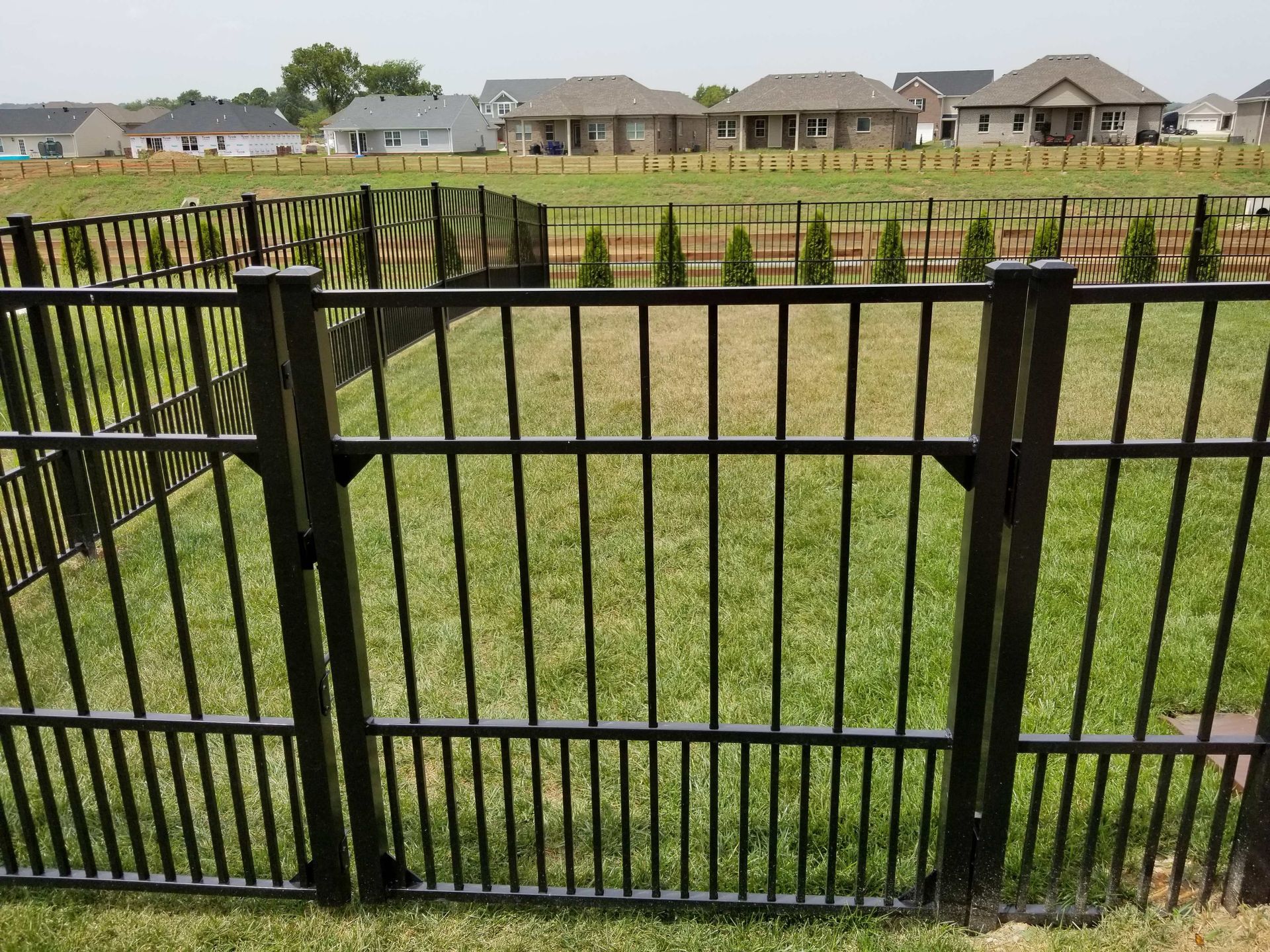 Black metal fence with a gate enclosing a grassy backyard; houses in the background.