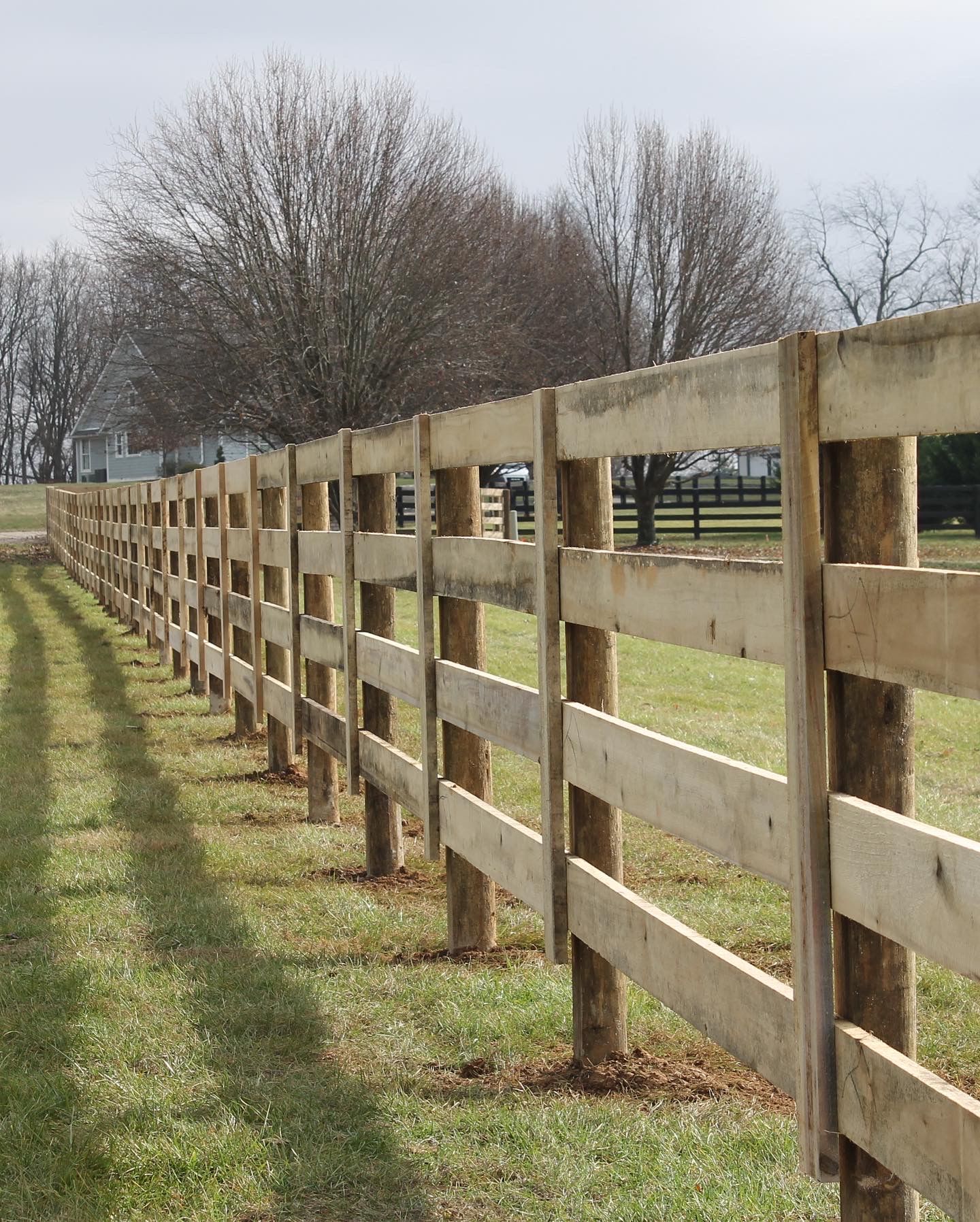 a wooden fence surrounds a grassy field with trees in the background — Lexington, KY — Chafin Fence LLC