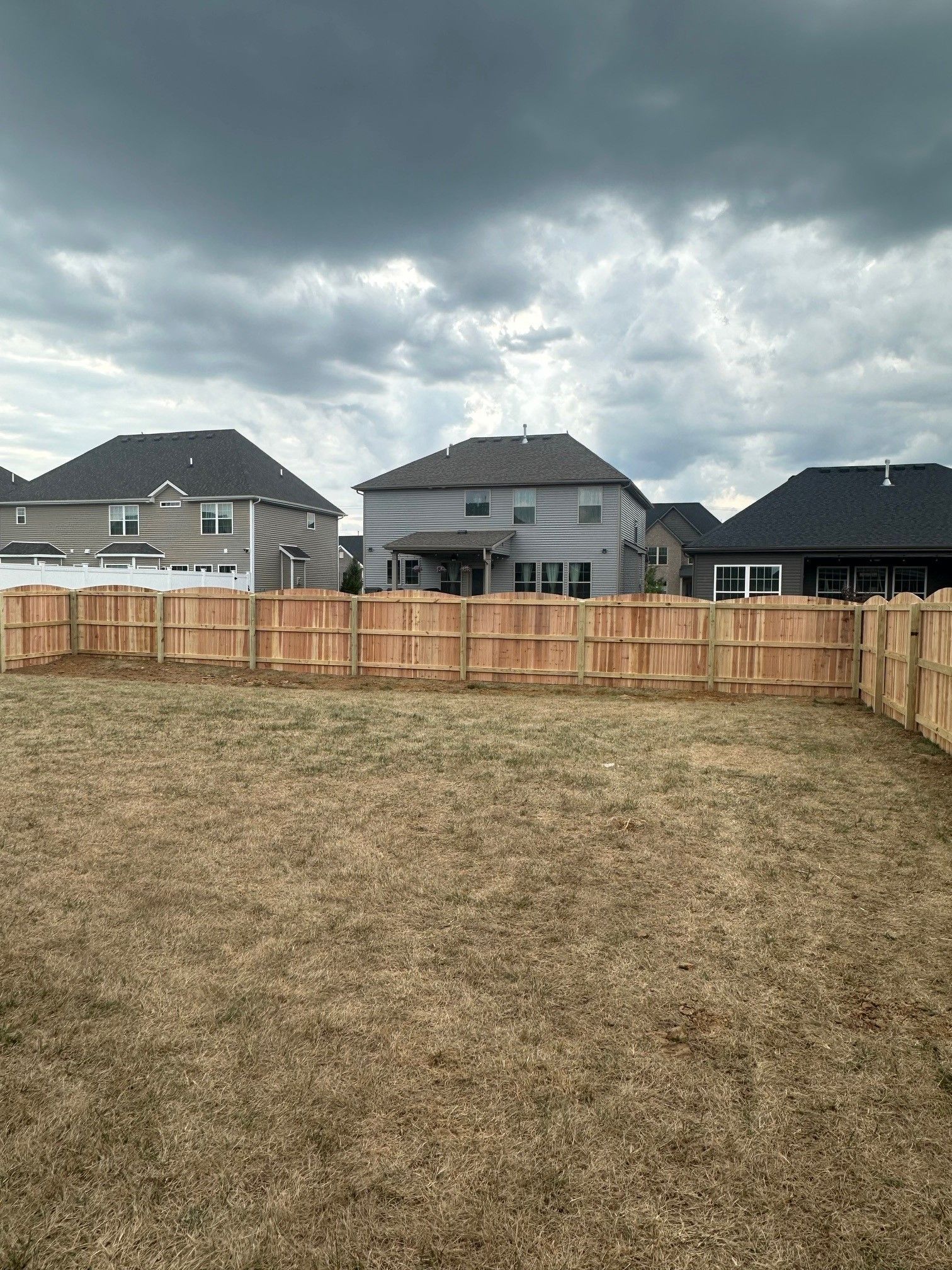 A backyard with a wooden fence and houses in the background — Lexington, KY — Chafin Fence LLC