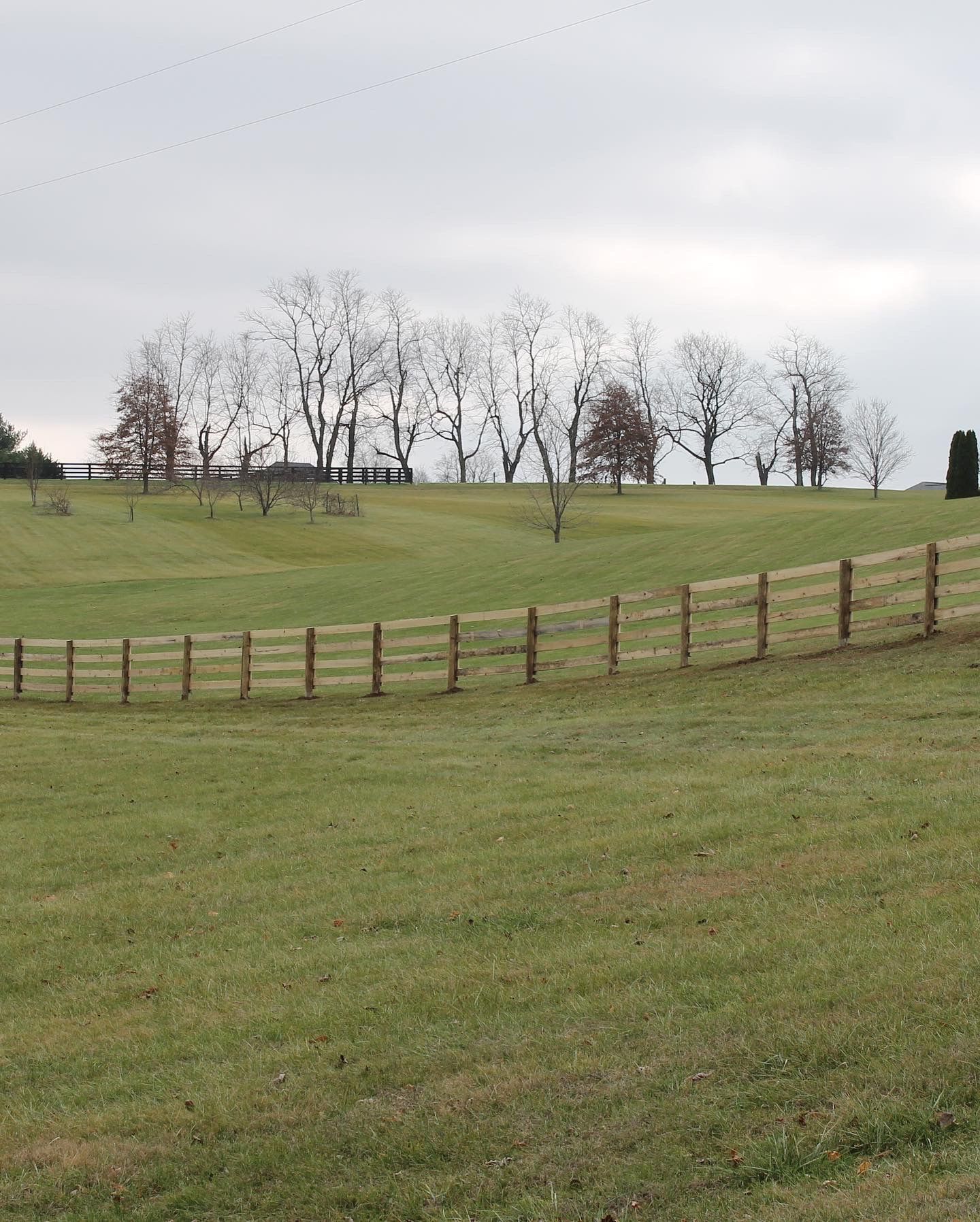 a wooden fence surrounds a grassy field with trees in the background — Lexington, KY — Chafin Fence LLC
