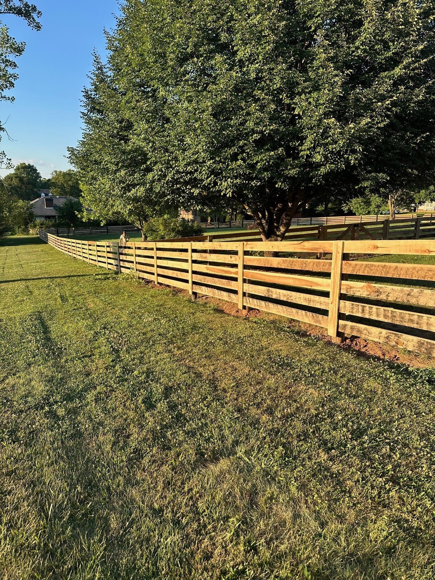 A wooden fence surrounds a grassy field with trees — Lexington, KY — Chafin Fence LLC