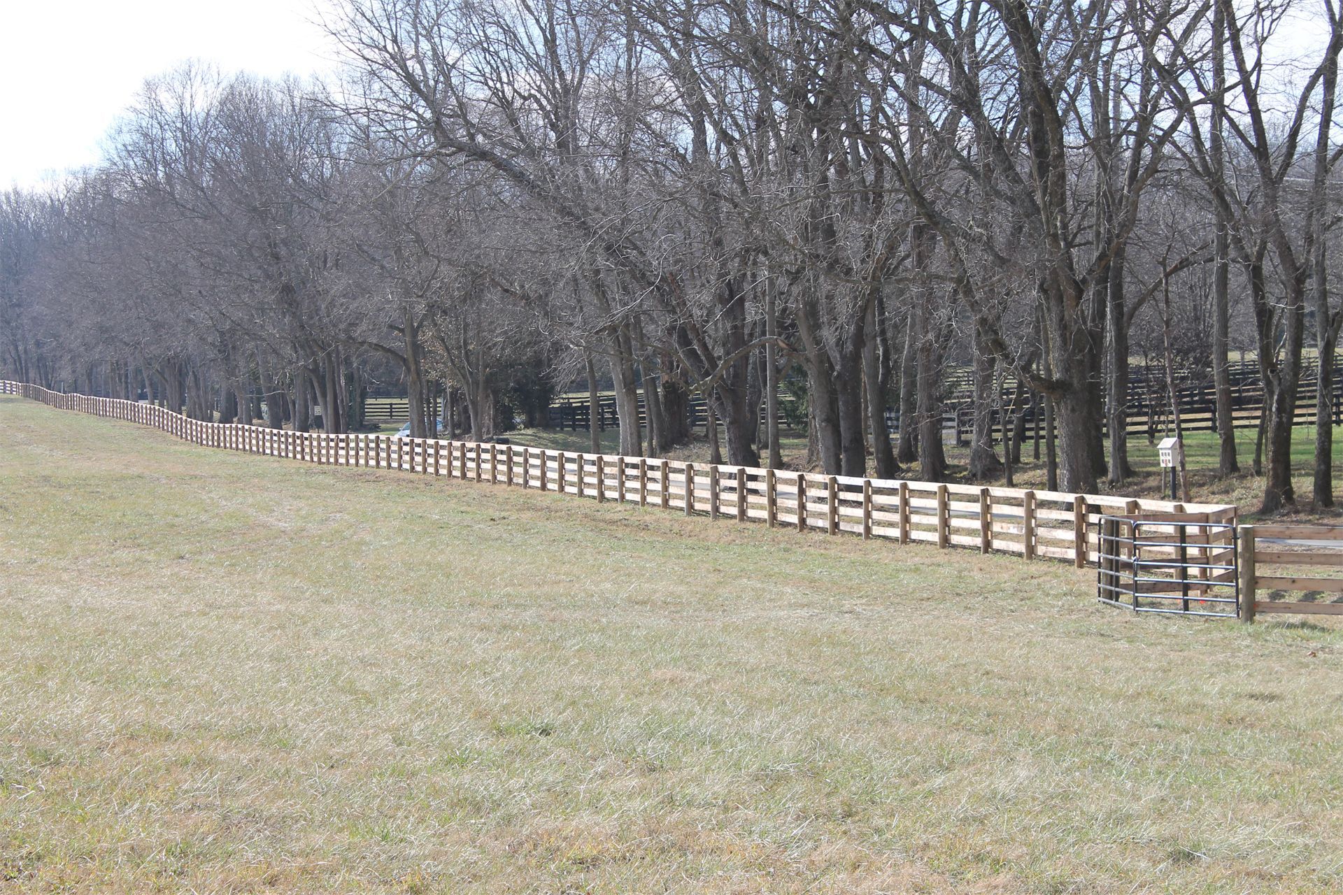 A Wooden Fence Surrounds a Grassy Field with Trees in the Background — Lexington, KY — Chafin Fence LLC