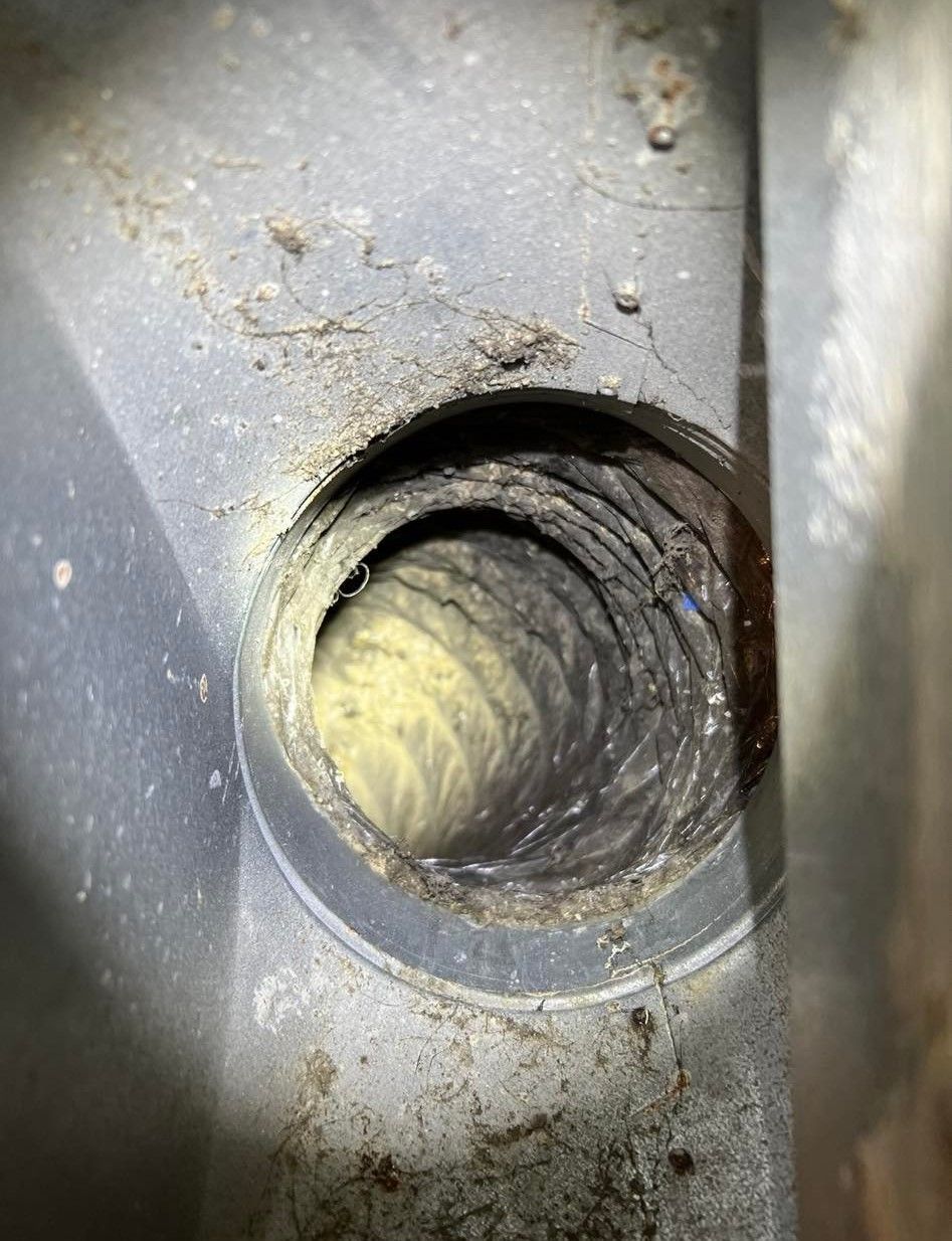 Alpha Air Heating and Cooling, Fort Mill SC, Charlotte NC, Eastover Charlotte NC, Myers Park Charlotte NC, Wessex Square Charlotte NC, Ballantyne Charlotte NC, Marvin NC, Gastonia NC, Indian Trail NC, Huntersville NC, Weddington NC, Waxhaw NC, Concord NC, Matthews NC, Mint Hill NC, Rock Hill SC, Tega Cay SC, Clover SC, Lake Wylie SC, Newport SC, Handyman, HVAC Contractor, HVAC Company, HVAC Company Near Me, HVAC Maintenance, HVAC Installation, HVAC Repair, HVAC Diagnostic, HVAC Inspection, HVAC Replacement, Fort Mill HVAC Company, Charlotte HVAC Company, Gastonia HVAC Company, Indian Trail HVAC Company, Huntersville HVAC Company, Weddington HVAC Company, Waxhaw HVAC Company, Concord HVAC Company, Matthews HVAC Company, Mint Hill HVAC Company, Rock Hill HVAC Company, Tega Cay HVAC Company, Clover HVAC Company, Pineville HVAC Company, Lake Wylie HVAC Company, Newport HVAC Company, Air Conditioning Services Near Me, Air Conditioning Repair, Air Conditioning Repair Near Me, Air Conditioning Installation, Air Conditioning Installation Near Me, Air Conditioning Replacement, Air Conditioning Replacement Near Me, Air Conditioning Maintenance Near Me, AC Services Near Me, AC Repair, AC Repair Near Me, AC Installation, AC Installation Near Me, AC Replacement, AC Replacement Near Me, AC Maintenance Near Me, AC Inspections, Mini Split Services Near Me, Mini Split Installation, Mini Split Replacement, Mini Split Repair, Mini Split Maintenance, Heating Services Near Me, Heating Installation, Heating Installation Near Me, Heating Repair, Heating Repair Near Me, Heating Replacement, Heating Replacement Near Me, Heating Maintenance Near Me, Heater Inspections, Furnace Services Near Me, Furnace Repair, Furnace Repair Near Me, Furnace Installation, Furnace Installation Near Me, Furnace Replacement, Furnace Replacement Near Me, Furnace Maintenance, Furnace Maintenance Near Me, Furnace Inspections, Heat Pump Repair, Heat Pump Replacement, Heating & Cooling Repair, Heating & Cooling Replacement, Heating & Cooling Repairs Near Me, Heating & Air Company Near Me, Heating & Air Installation, Heating & Air Repairs, Heating & Air Repair Near Me, Air Duct Repair, Air Duct Repair Near Me, Air Duct Replacement, Air Duct Replacement Near Me, Air Purifier Services Near Me, Air Purifier Installation, Air Purifier Replacement, Air Purifier Repair, Air Purifier Maintenance, Water Heater Services Near Me, Water Heater Installation, Water Heater Replacement, Water Heater Repair, Water Heater Maintenance, Tankless Water Heaters