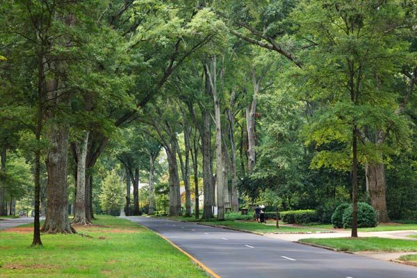 Alpha Air Heating and Cooling, Fort Mill SC, Charlotte NC, Eastover Charlotte NC, Myers Park Charlotte NC, Wessex Square Charlotte NC, Ballantyne Charlotte NC, Marvin NC, Gastonia NC, Indian Trail NC, Huntersville NC, Weddington NC, Waxhaw NC, Concord NC, Matthews NC, Mint Hill NC, Rock Hill SC, Tega Cay SC, Clover SC, Lake Wylie SC, Newport SC, Handyman, HVAC Contractor, HVAC Company, HVAC Company Near Me, HVAC Maintenance, HVAC Installation, HVAC Repair, HVAC Diagnostic, HVAC Inspection, HVAC Replacement, Fort Mill HVAC Company, Charlotte HVAC Company, Gastonia HVAC Company, Indian Trail HVAC Company, Huntersville HVAC Company, Weddington HVAC Company, Waxhaw HVAC Company, Concord HVAC Company, Matthews HVAC Company, Mint Hill HVAC Company, Rock Hill HVAC Company, Tega Cay HVAC Company, Clover HVAC Company, Pineville HVAC Company, Lake Wylie HVAC Company, Newport HVAC Company, Air Conditioning Services Near Me, Air Conditioning Repair, Air Conditioning Repair Near Me, Air Conditioning Installation, Air Conditioning Installation Near Me, Air Conditioning Replacement, Air Conditioning Replacement Near Me, Air Conditioning Maintenance Near Me, AC Services Near Me, AC Repair, AC Repair Near Me, AC Installation, AC Installation Near Me, AC Replacement, AC Replacement Near Me, AC Maintenance Near Me, AC Inspections, Mini Split Services Near Me, Mini Split Installation, Mini Split Replacement, Mini Split Repair, Mini Split Maintenance, Heating Services Near Me, Heating Installation, Heating Installation Near Me, Heating Repair, Heating Repair Near Me, Heating Replacement, Heating Replacement Near Me, Heating Maintenance Near Me, Heater Inspections, Furnace Services Near Me, Furnace Repair, Furnace Repair Near Me, Furnace Installation, Furnace Installation Near Me, Furnace Replacement, Furnace Replacement Near Me, Furnace Maintenance, Furnace Maintenance Near Me, Furnace Inspections, Heat Pump Repair, Heat Pump Replacement, Heating & Cooling Repair, Heating & Cooling Replacement, Heating & Cooling Repairs Near Me, Heating & Air Company Near Me, Heating & Air Installation, Heating & Air Repairs, Heating & Air Repair Near Me, Air Duct Repair, Air Duct Repair Near Me, Air Duct Replacement, Air Duct Replacement Near Me, Air Purifier Services Near Me, Air Purifier Installation, Air Purifier Replacement, Air Purifier Repair, Air Purifier Maintenance, Water Heater Services Near Me, Water Heater Installation, Water Heater Replacement, Water Heater Repair, Water Heater Maintenance, Tankless Water Heaters