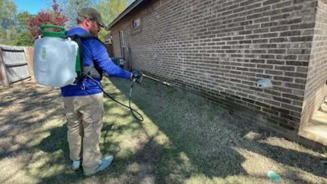 A person wearing a backpack sprayer applies chemical treatment to the exterior brick wall and foundation of a house.