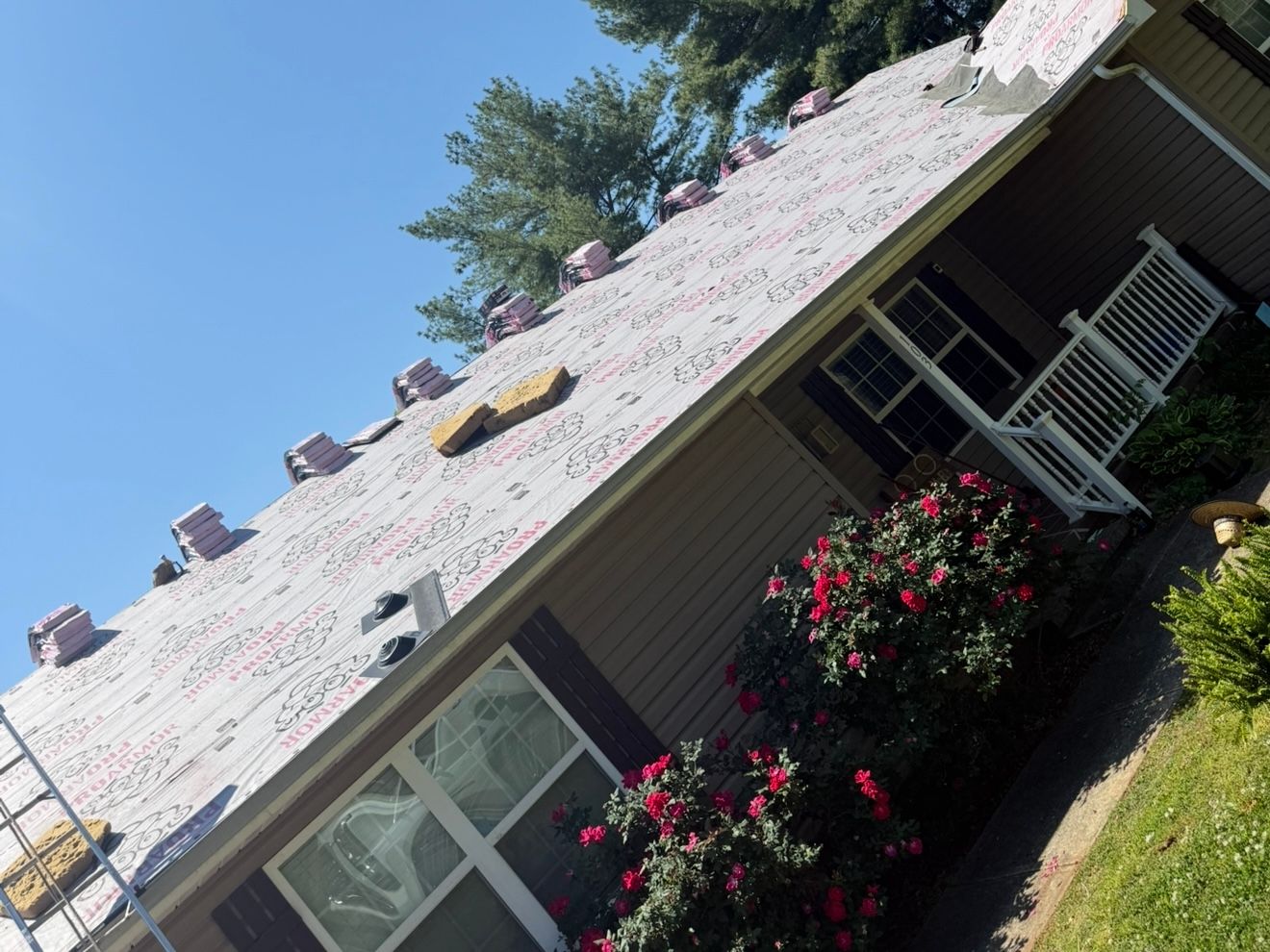 Tilted house exterior with white roof, large windows, and red flowering bushes on a sunny day