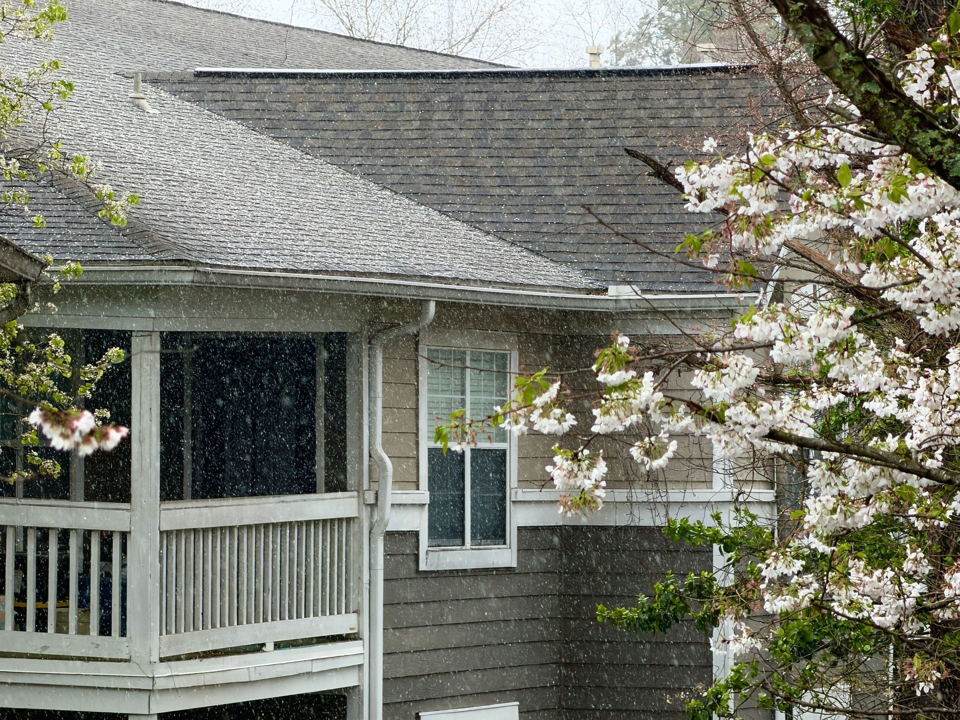 House porch with gray siding and white trim framed by blooming tree branches