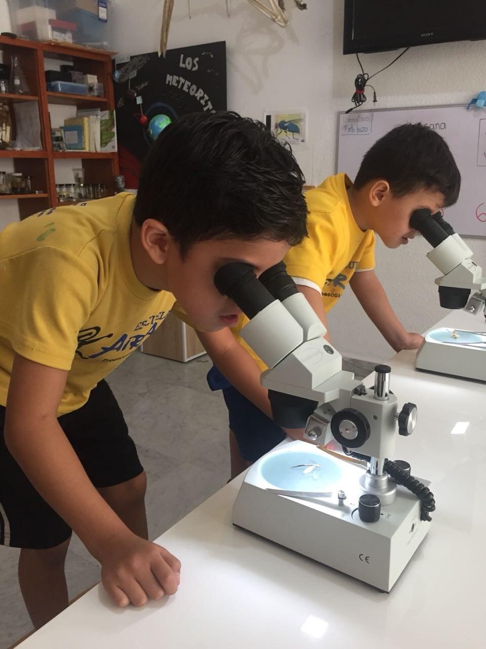 ESCUELA AIRAPÍ - Primaria