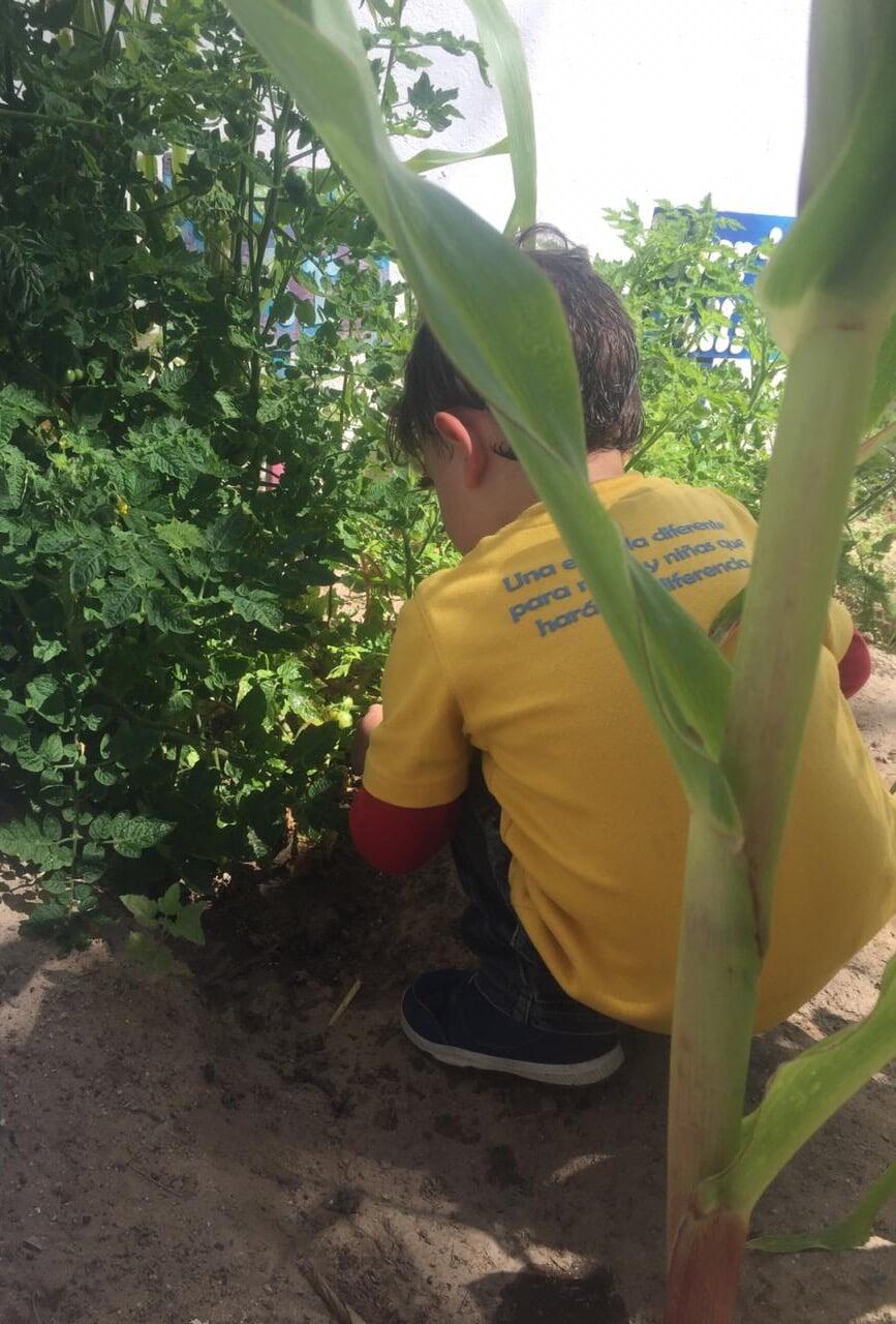 ESCUELA AIRAPÍ - Preescolar