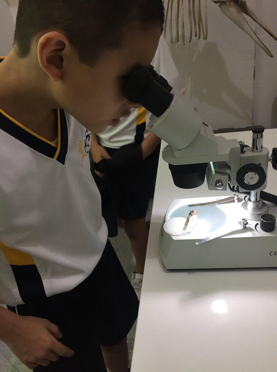 ESCUELA AIRAPÍ - Primaria