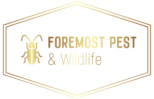 healthy crawl space and foremost pest and wildlife logo