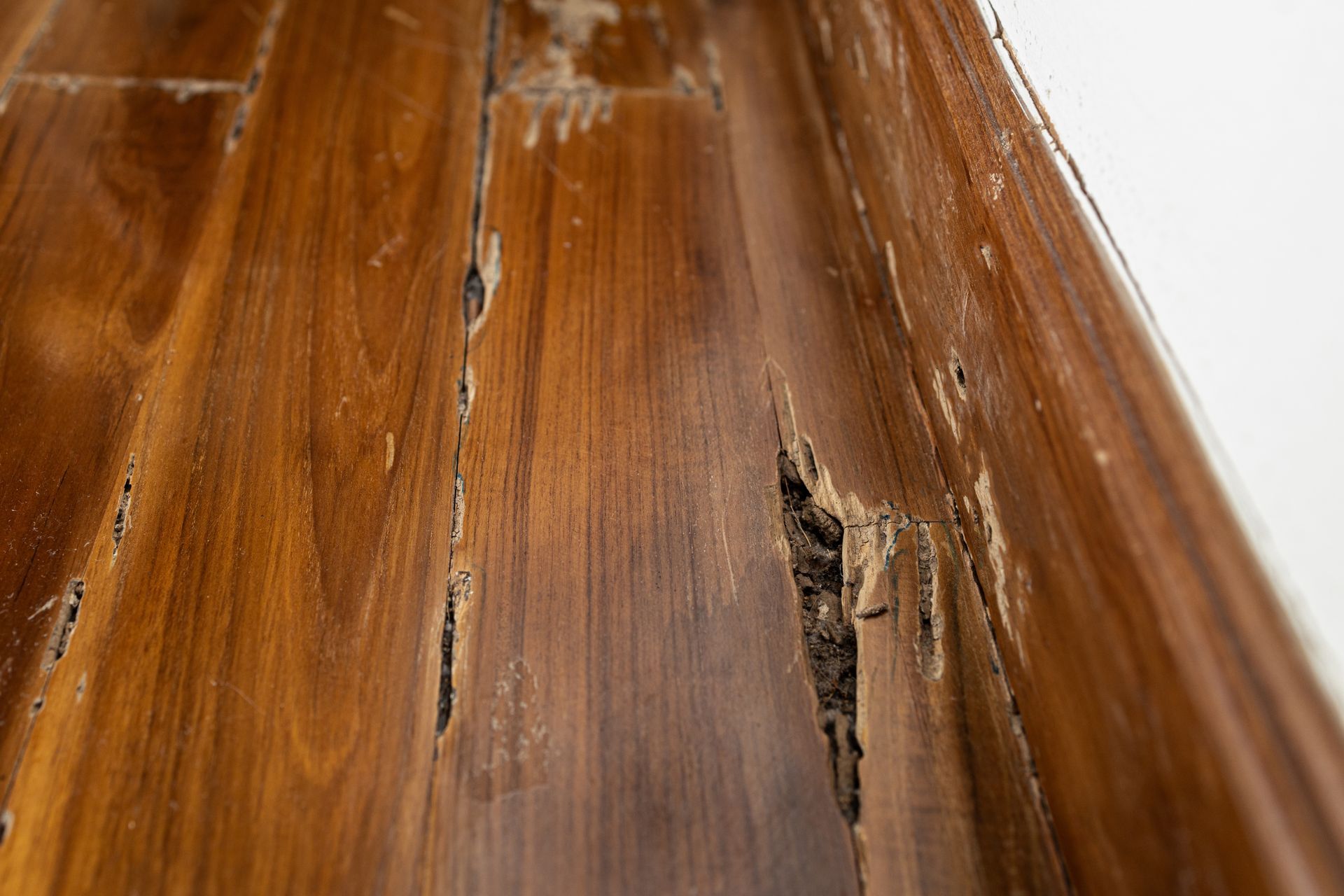 Close-up of damaged wood flooring, showing deep cracks, gouges, and a rich brown stain.