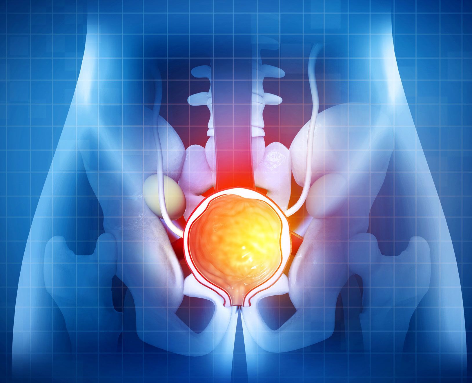 ESPECIALIDAD EN UROLOGIA